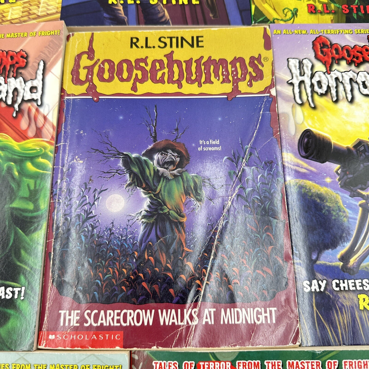 Goosebumps Bundle x11 Books - Original Series & HorrorLand - R.L. Stine - Pre-Owned