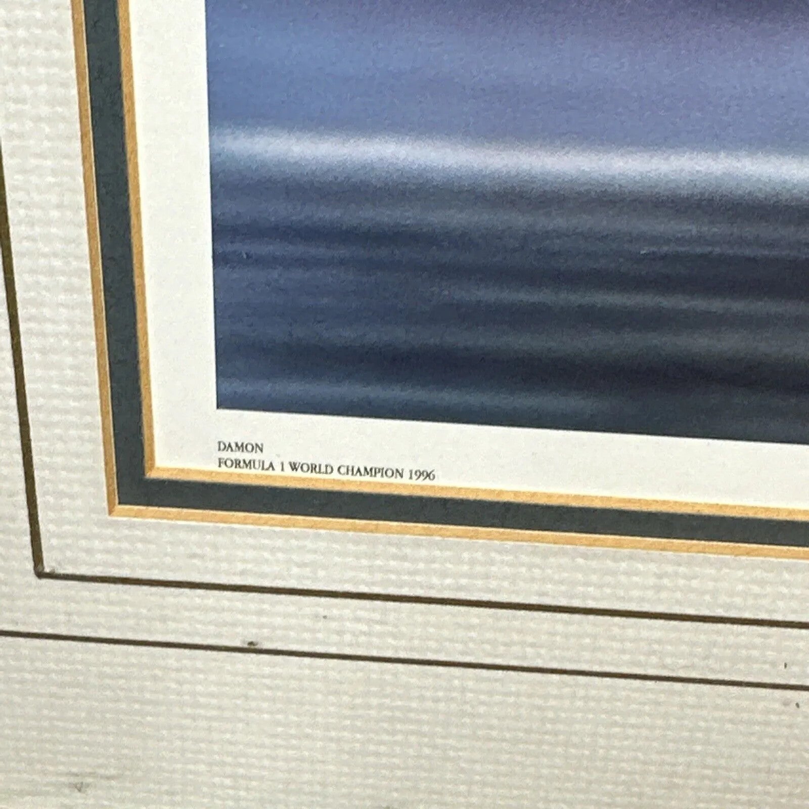 Formula 1 Print Damon Hill 1996 World Champion by Artist Stuart Coffield Framed