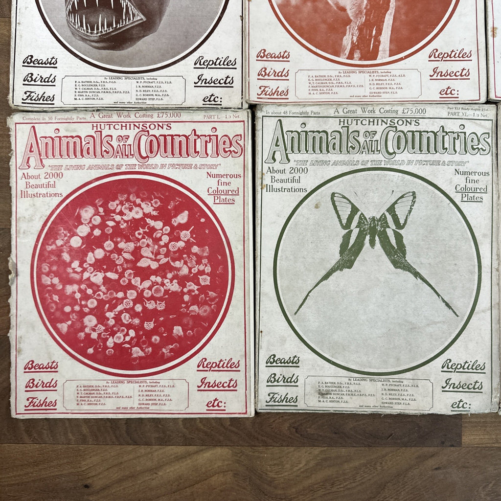 Magazine Bundle Animals Of All Countries Job Lot