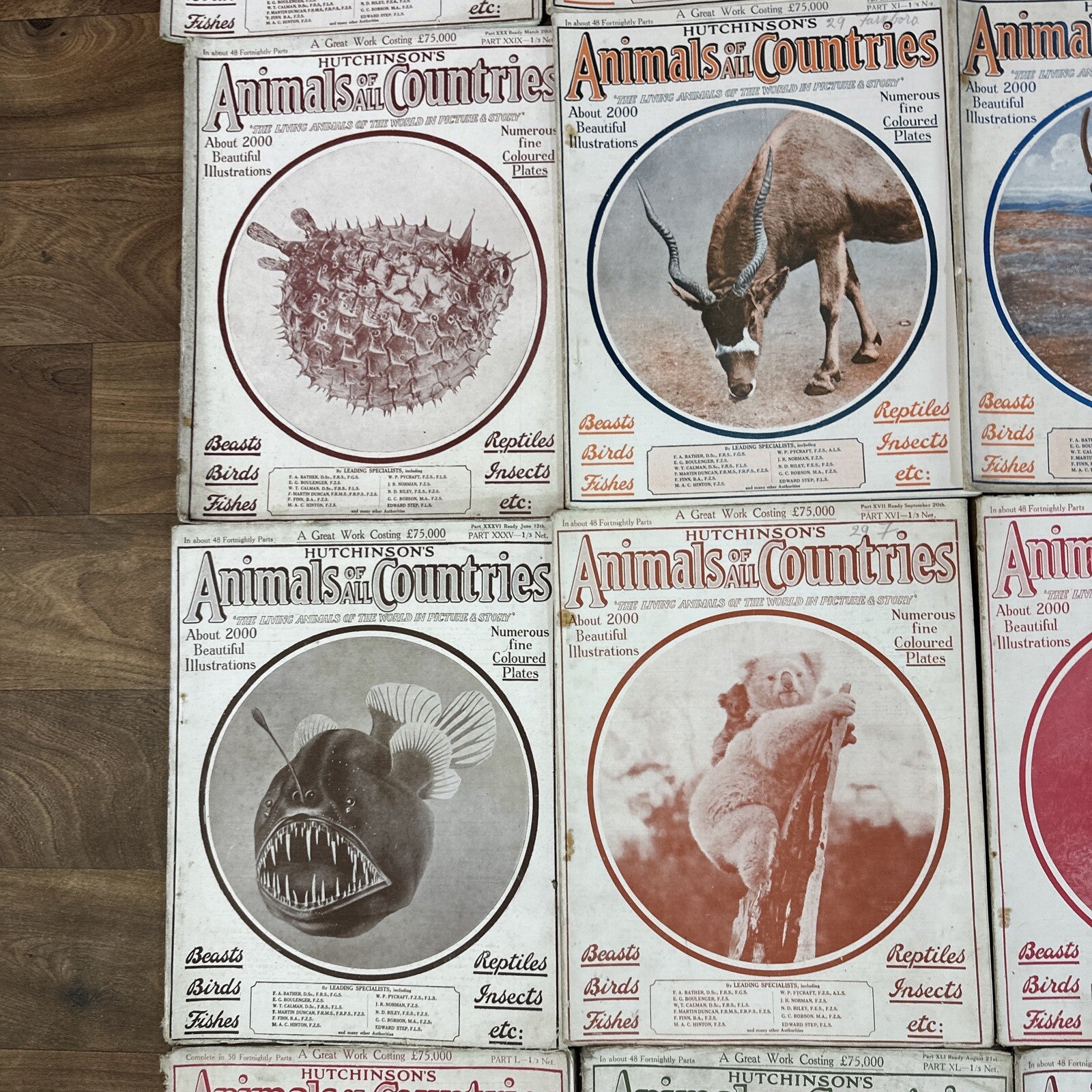 Magazine Bundle Animals Of All Countries Job Lot