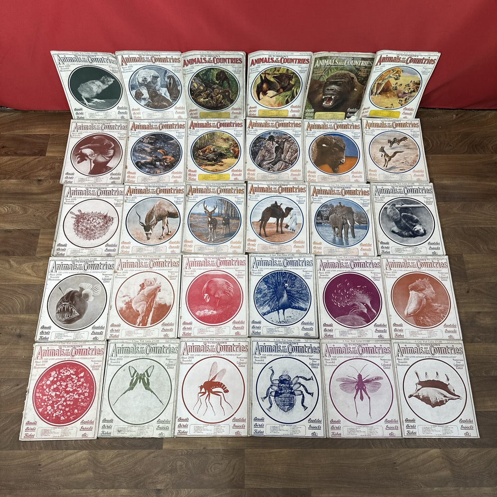 Magazine Bundle Animals Of All Countries Job Lot