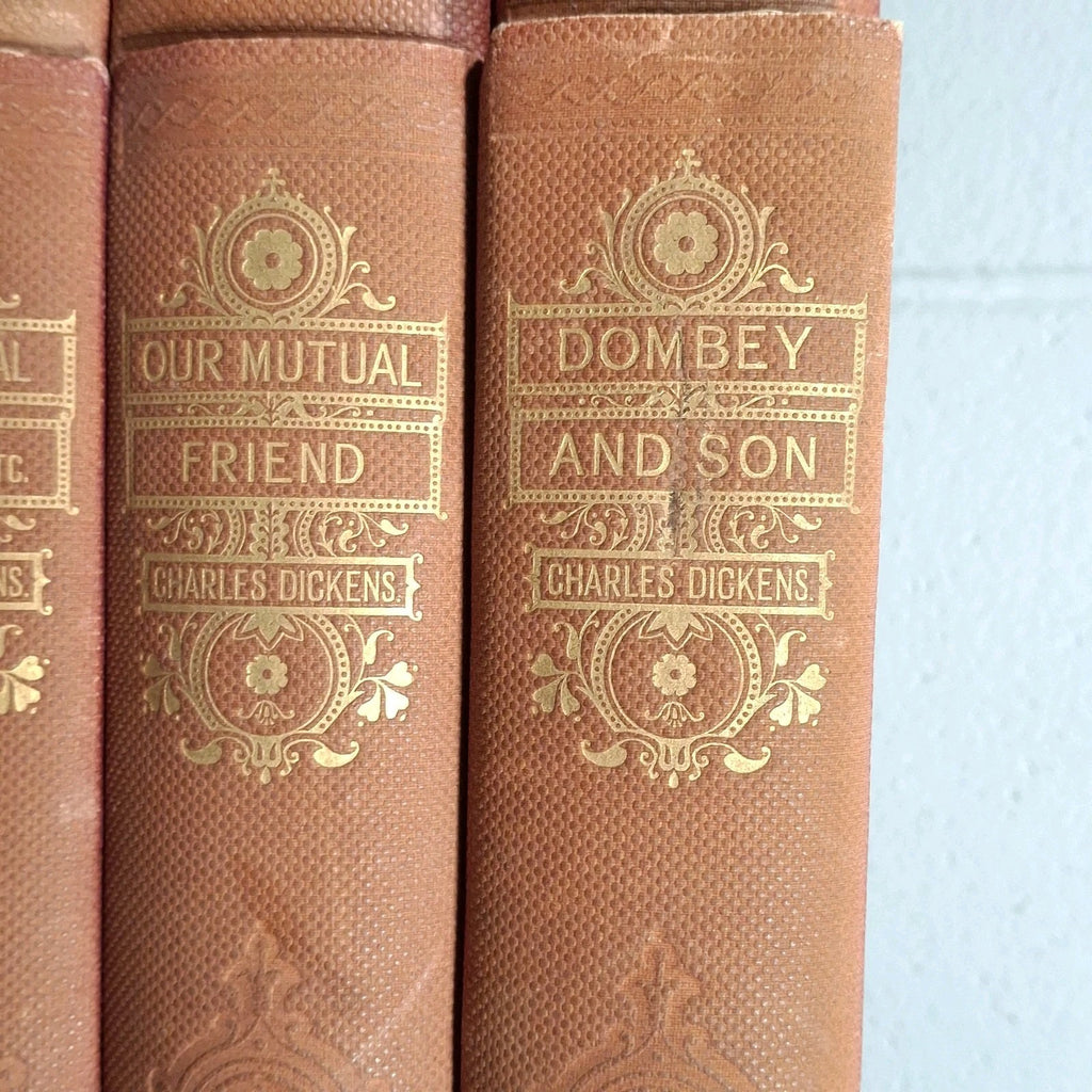 15x Works Of Charles Dickens The Authors Favourite Edition Illustrated Books Set