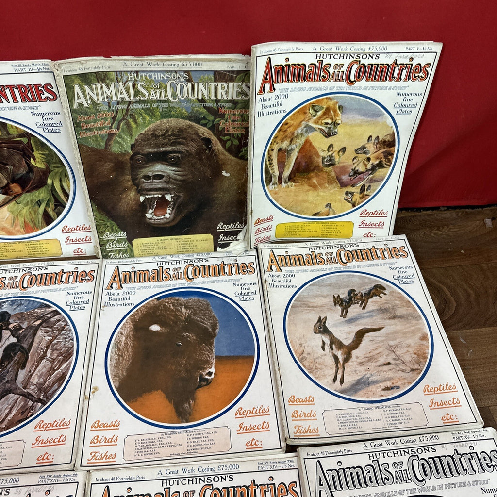 Magazine Bundle Animals Of All Countries Job Lot