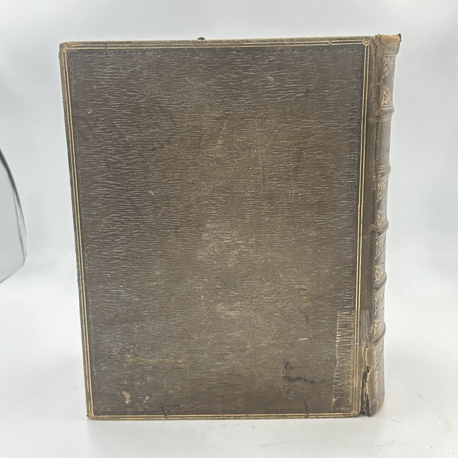 Websters Complete Dictionary Unabridged Antique 1884 Large Book
