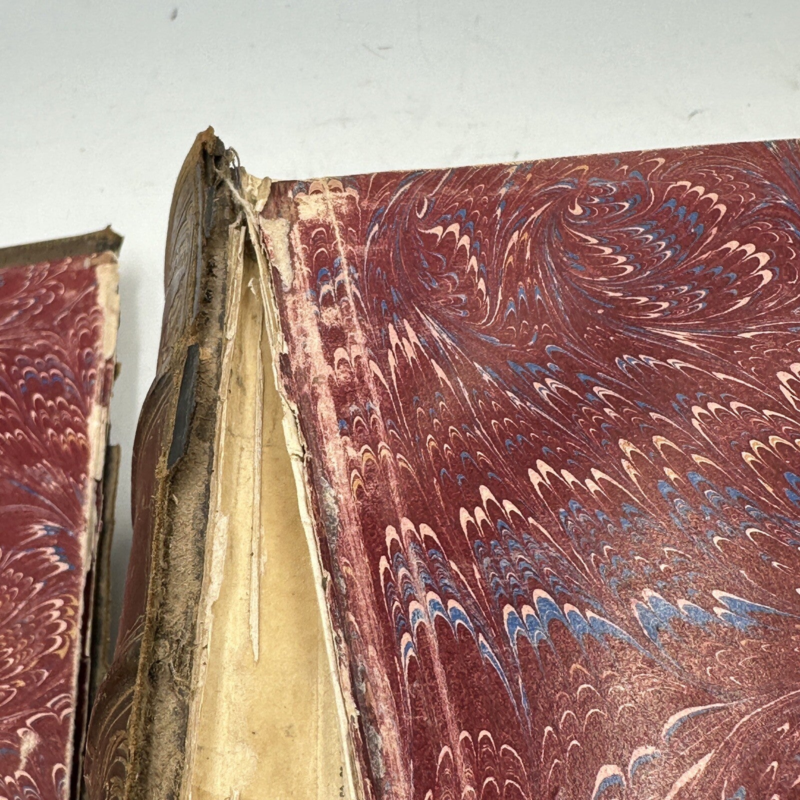 Websters Complete Dictionary Unabridged Antique 1884 Large Book
