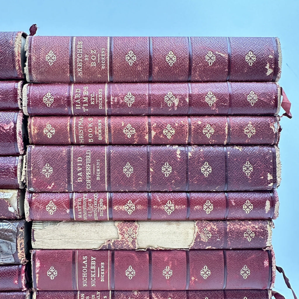 Collection 22 Books Fireside Dickens Works Chapman Hall Illustrated FULL LEATHER