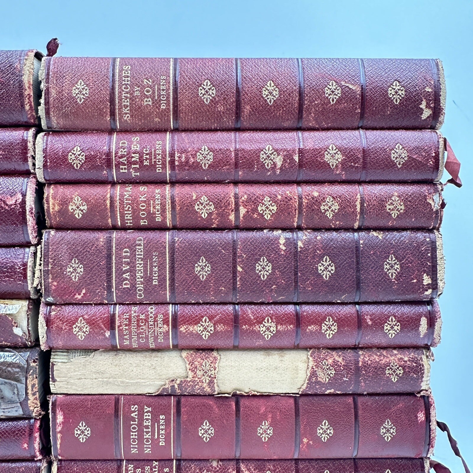 Collection 22 Books Fireside Dickens Works Chapman Hall Illustrated FULL LEATHER