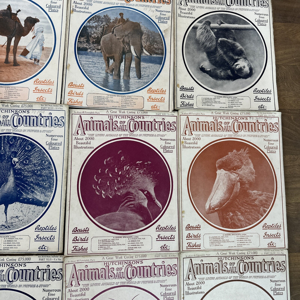 Magazine Bundle Animals Of All Countries Job Lot