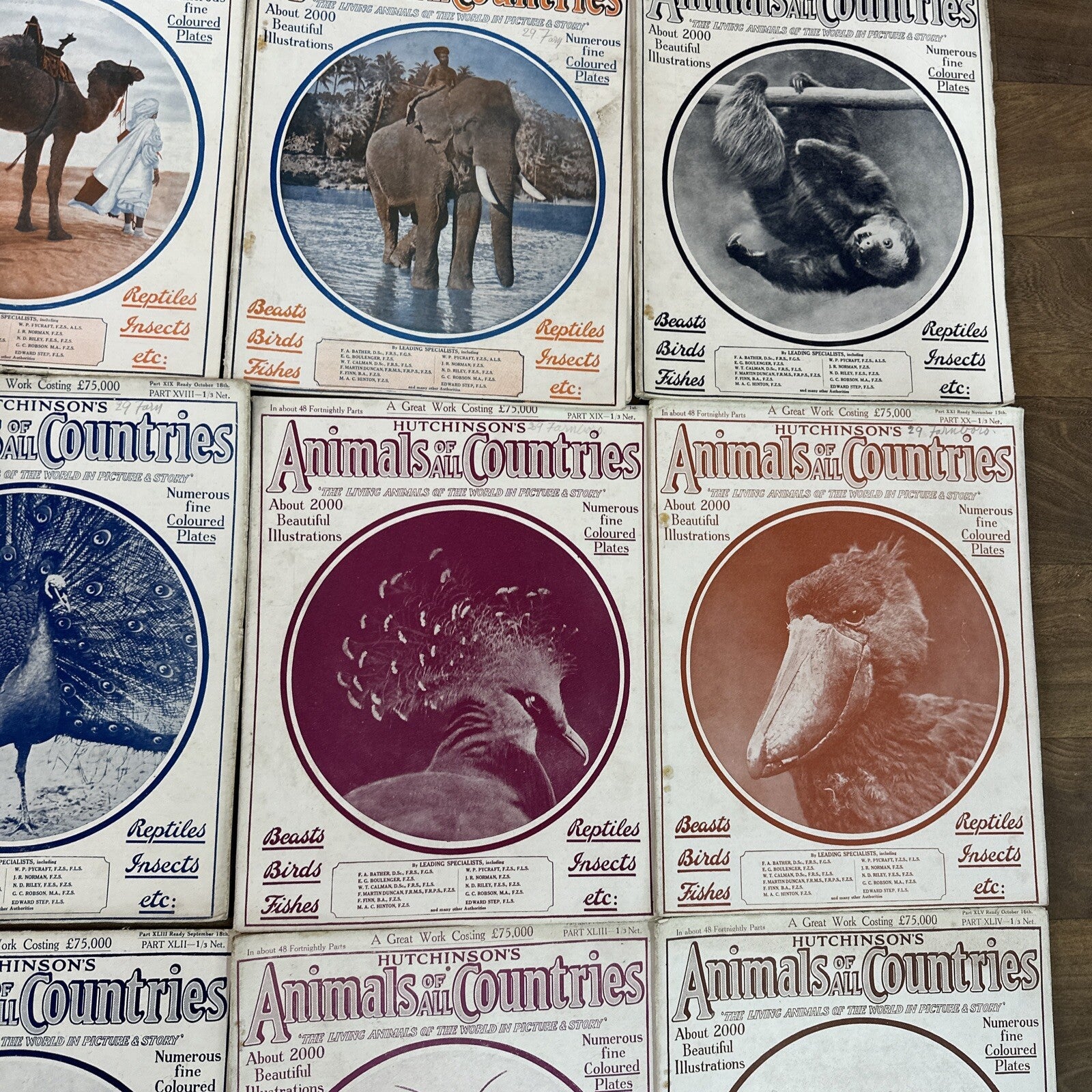 Magazine Bundle Animals Of All Countries Job Lot
