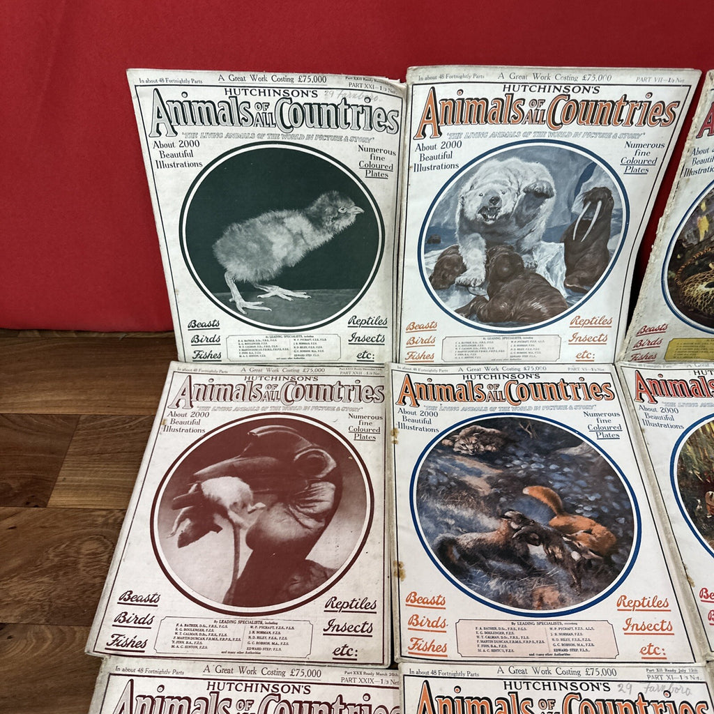 Magazine Bundle Animals Of All Countries Job Lot