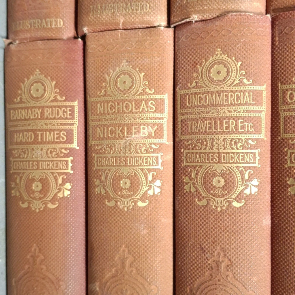 15x Works Of Charles Dickens The Authors Favourite Edition Illustrated Books Set