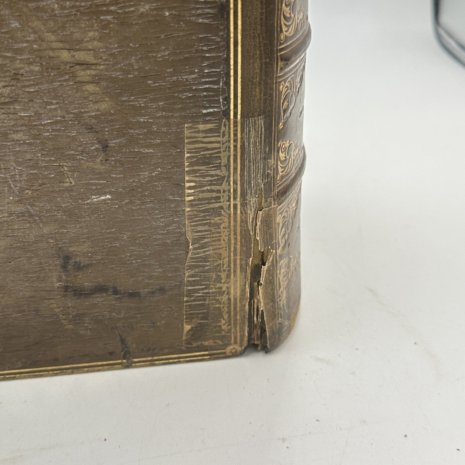 Websters Complete Dictionary Unabridged Antique 1884 Large Book