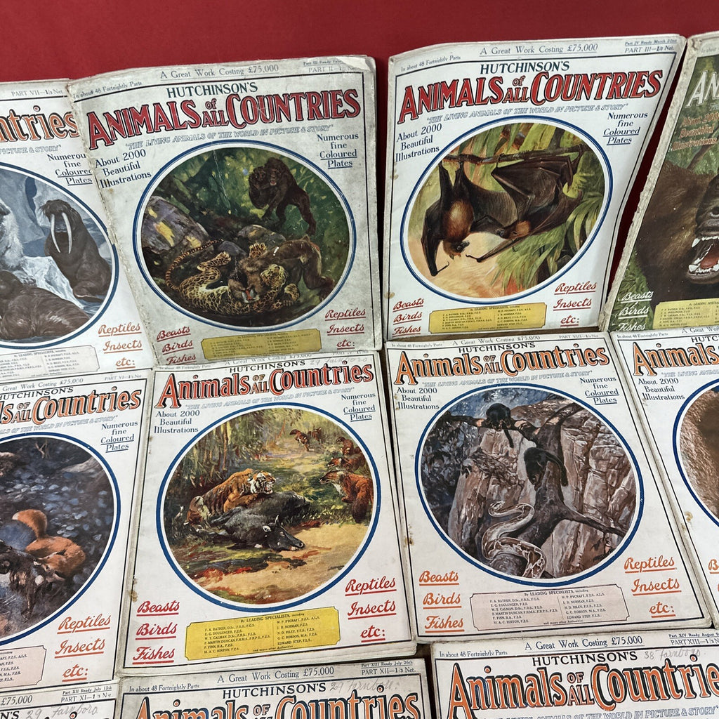 Magazine Bundle Animals Of All Countries Job Lot