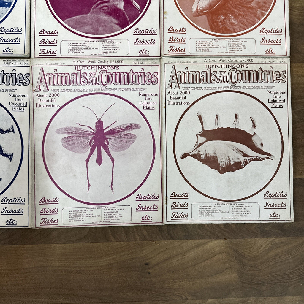 Magazine Bundle Animals Of All Countries Job Lot