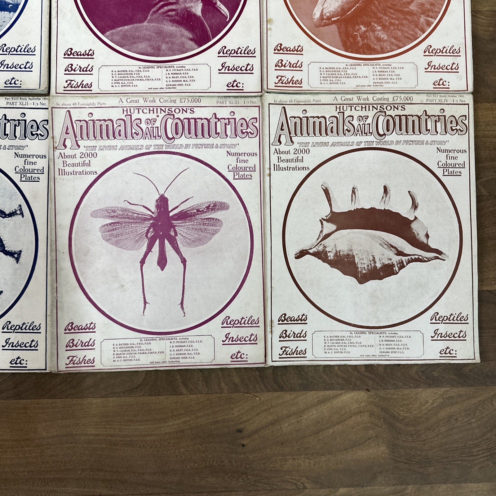 Magazine Bundle Animals Of All Countries Job Lot