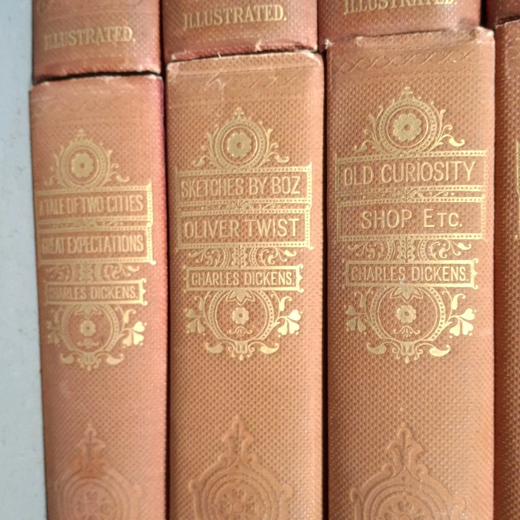 15x Works Of Charles Dickens The Authors Favourite Edition Illustrated Books Set