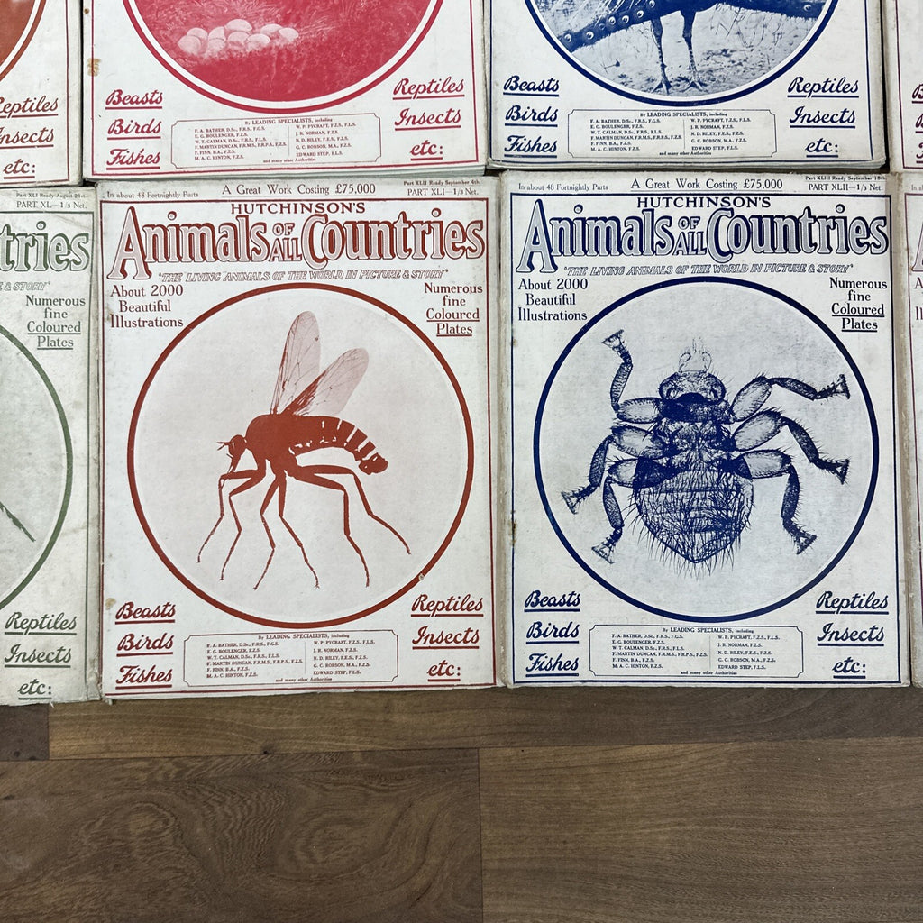 Magazine Bundle Animals Of All Countries Job Lot