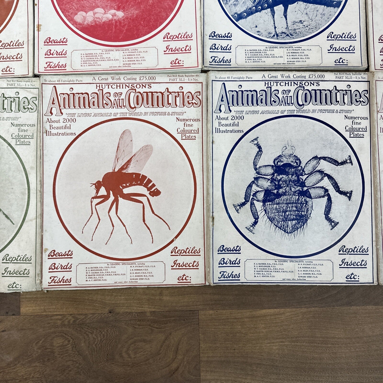 Magazine Bundle Animals Of All Countries Job Lot