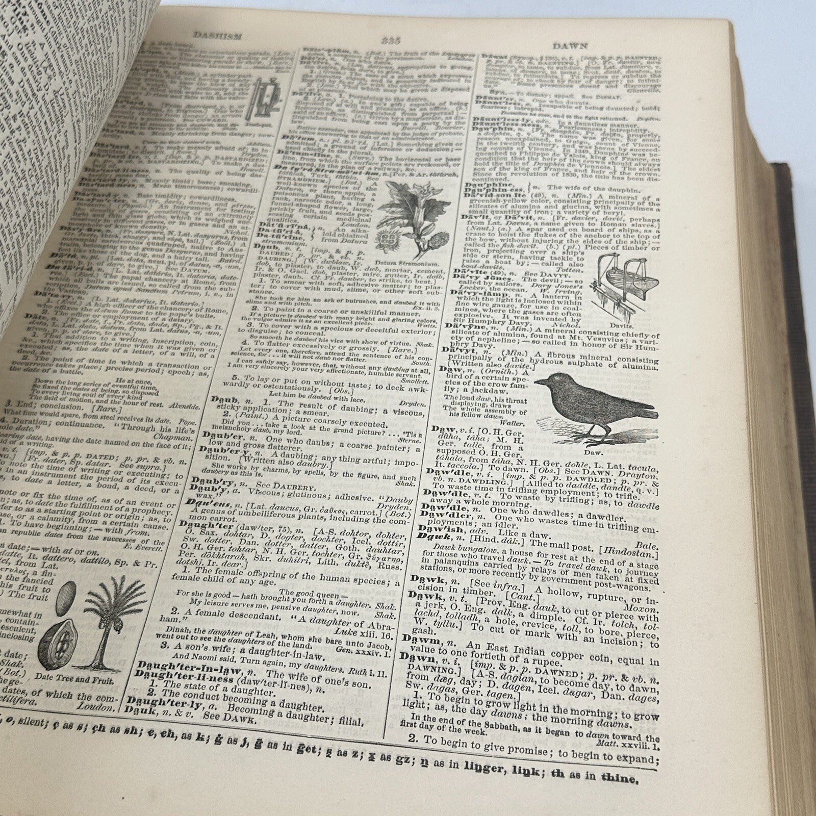 Websters Complete Dictionary Unabridged Antique 1884 Large Book